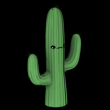 Prickly Cactus